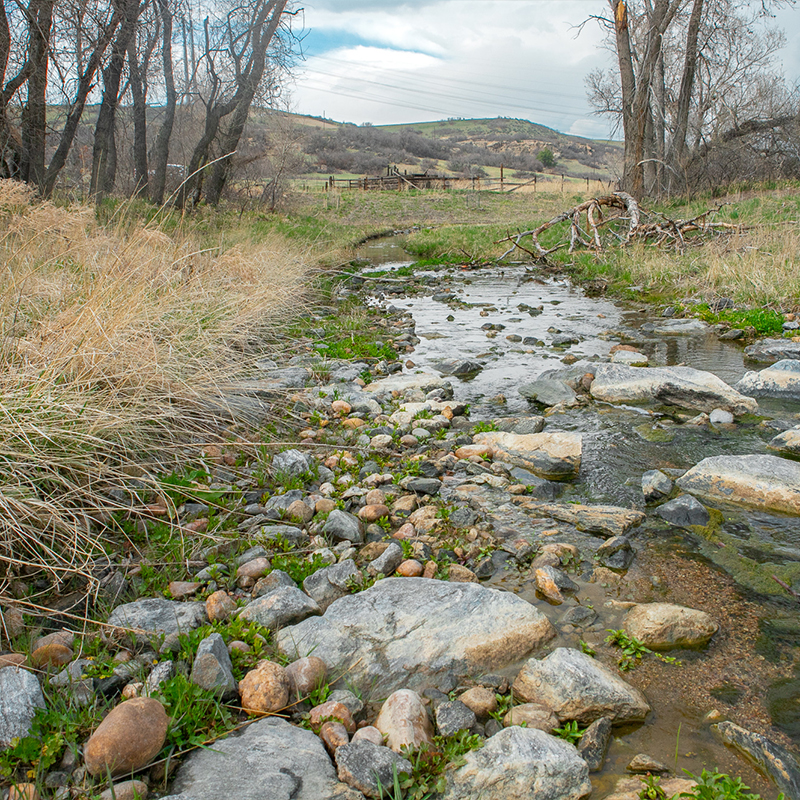 Shallow creek over rocks, grass, leafless trees, cloudy sky.